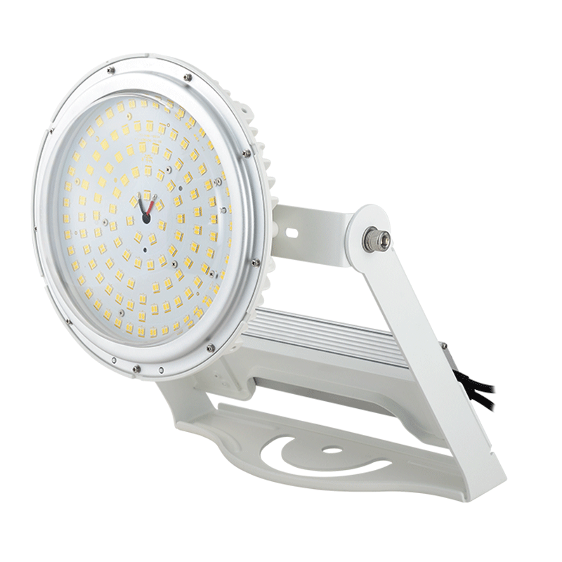 KING 400重耐塩投光器型<br>（ドームカバー透明）