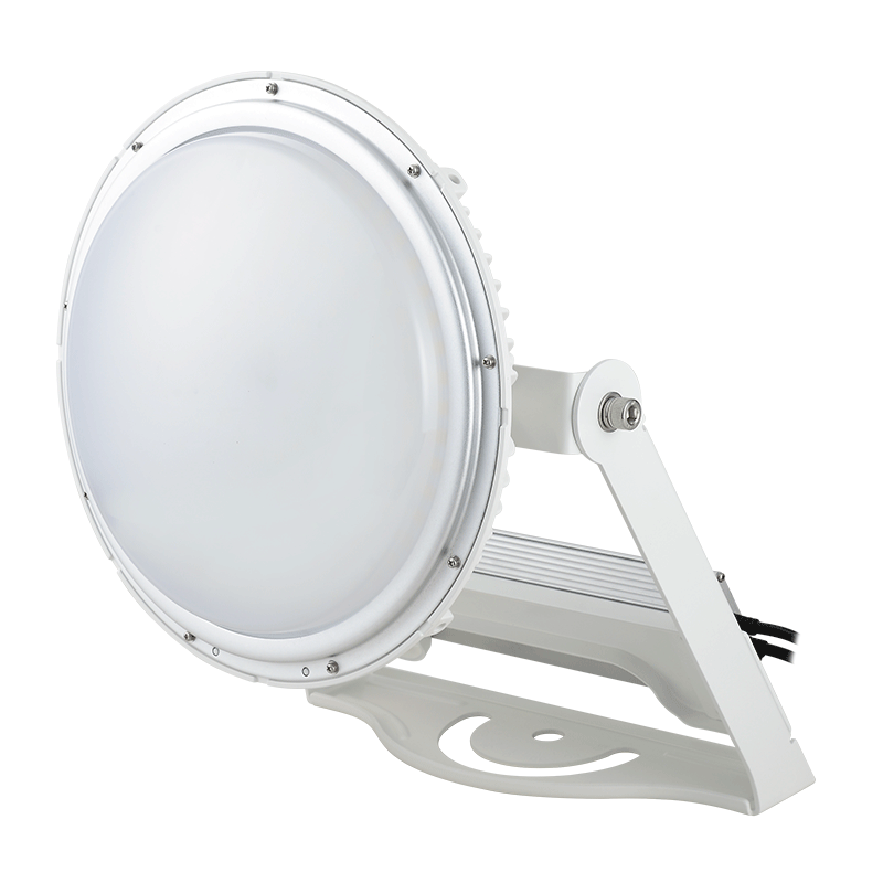 KING 700重耐塩投光器型<br>（ドームカバー乳白）