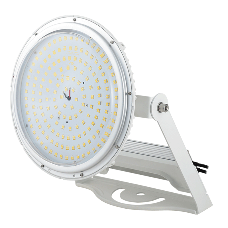 KING 700重耐塩投光器型<br>（ドームカバー透明）